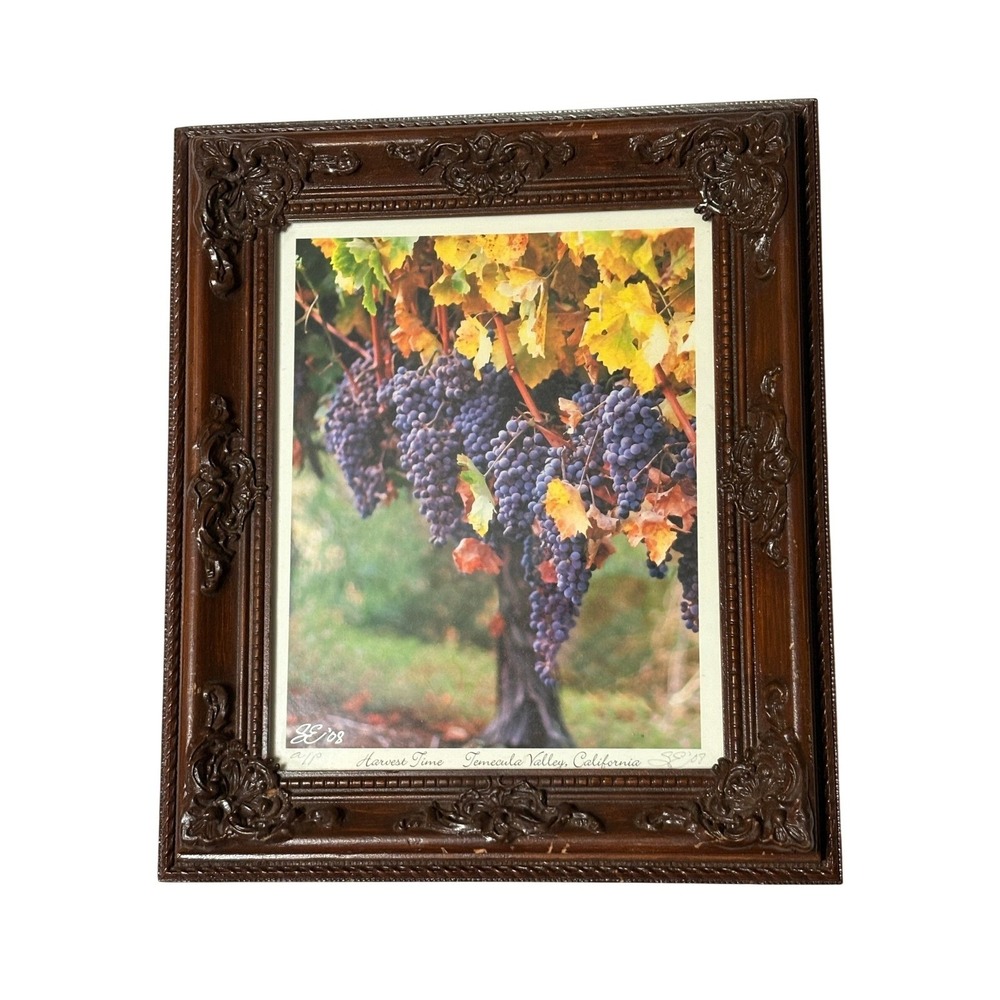 Harvest Time Temecula Valley California Grapes Vineyard Framed Art Print